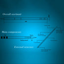 SP4424_B1.jpg@b4f8fb02d752476a3e3d61c32015ee7d