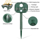 SYA003829_3.jpg@4e3114c6b89e9509d5b68f6c92260745