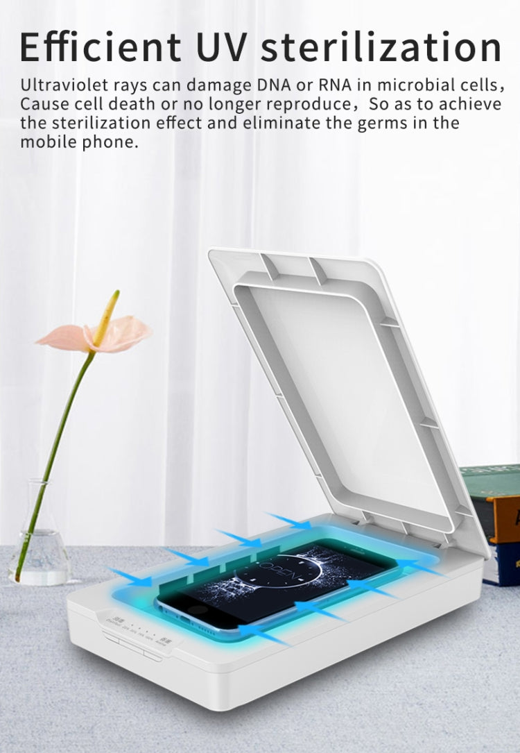 SYA00912101A_3.jpg@2067757e799adb2009f0f446a8e43b65