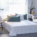 TBD0175821909_2.jpg@fdf92a9c140bea72d7d622bf12ab004e