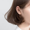 TBD0196875901A_6.jpg@78300abefb31f14ba176eb945e55560b