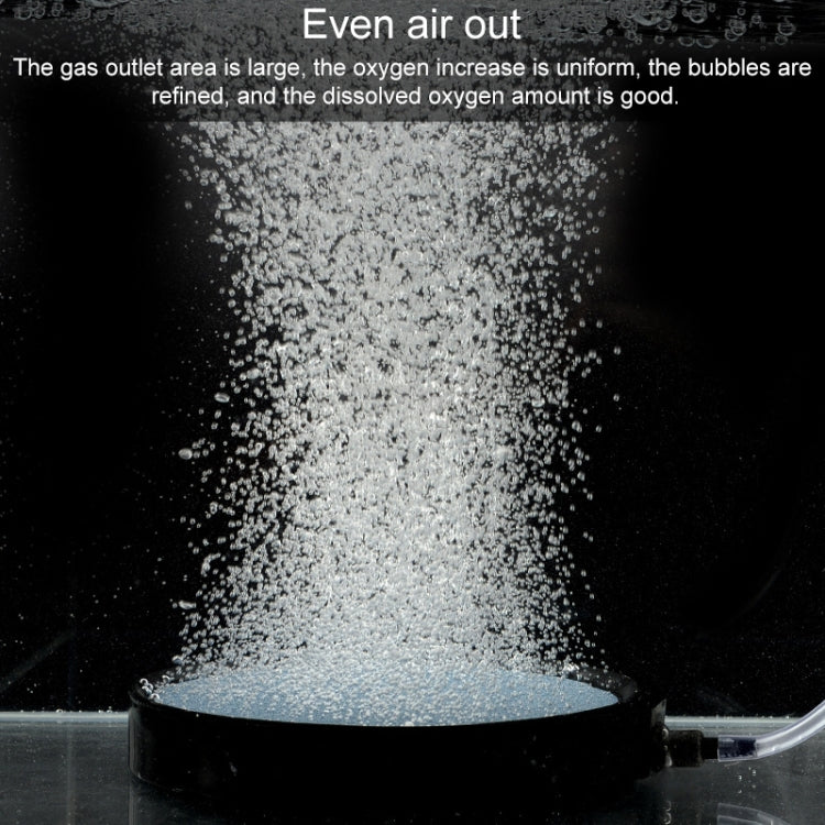 TBD0199502202_3.jpg@971cfac8fd6cba102a2005921b68d5e1