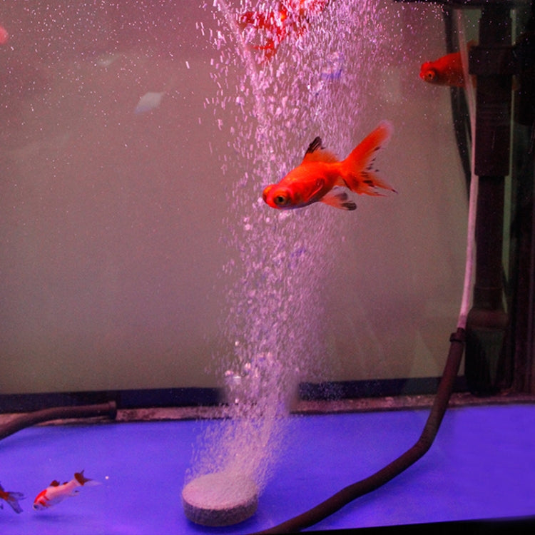 TBD0199502207_4.jpg@e7889b780280594bdea34fe35bf908ea