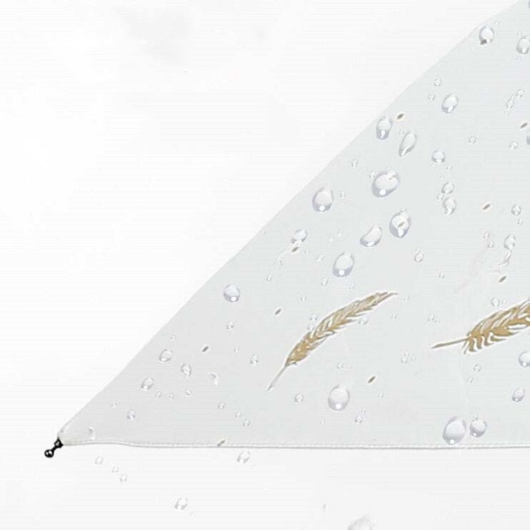 TBD0199528501A_5.jpg@7be7bcb5f6144fd782af173069c8faf3