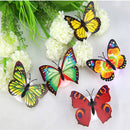 TBD02055249_1.jpg@e0dd447e403e6ee898a67c2228223b8a