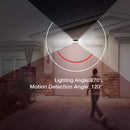 TBD03026535_5.jpg@8cef116da1cf0ba56680098d720c7db2