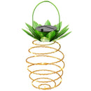 TBD03026968.jpg@a460b4dc8d1c05911d456a5063ac60be