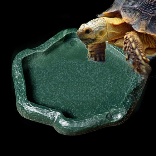 Lizard Resin Food Bowl Rock Reptile Drinking Tray, SIZE:18x14x2cm, Color:Green