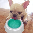 Pet Cooling Speed Cold Bowl Food Bowl