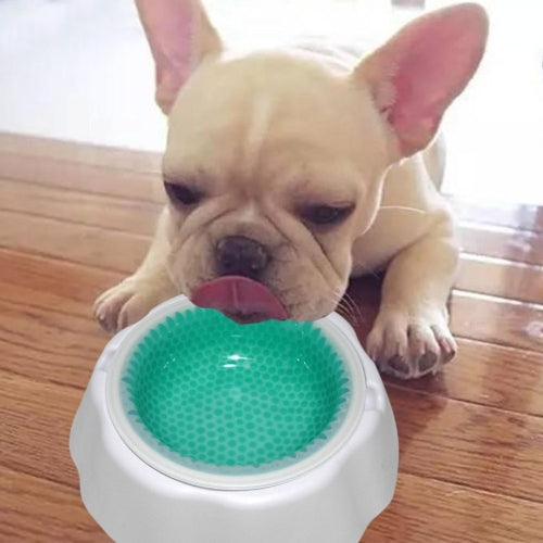 Pet Cooling Speed Cold Bowl Food Bowl