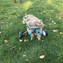 TBD0363583706_3.jpg@9bc58afd69eee3c410283a0aaff55c27