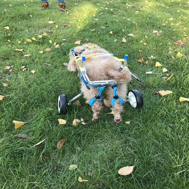 TBD0363583706_3.jpg@9bc58afd69eee3c410283a0aaff55c27