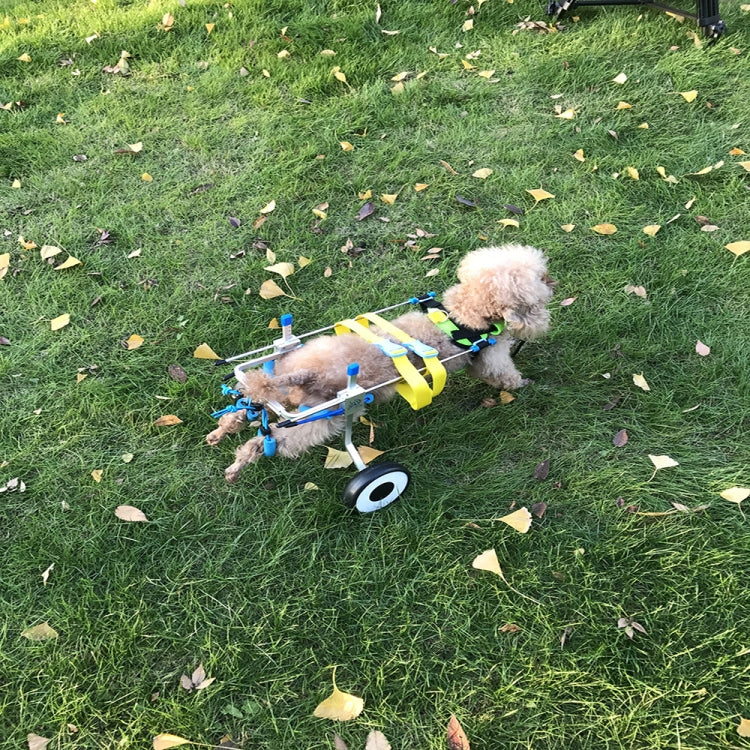 TBD0363583706_4.jpg@ba0674109f39cca339cfccb5efba29dd