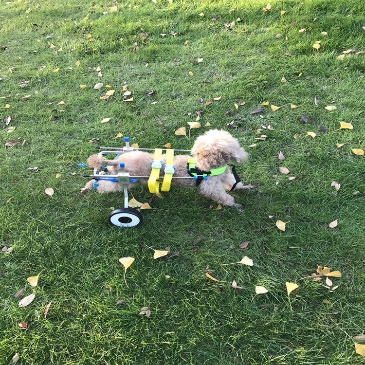 TBD0363583706_5.jpg@c65f9789b4bfca19f093841c76e360d8