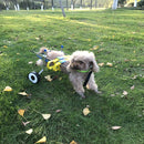 TBD0363583706_6.jpg@66840a9c23091356dbe6723ec4f8f12d