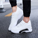 TBD0366371405A_6.jpg@3ae1d99dca93bb9a4fb109523d43f9c8