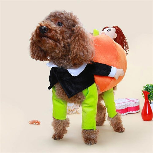 Summer Clothes Dog Funny Clothes Pet Clothes, Size: S