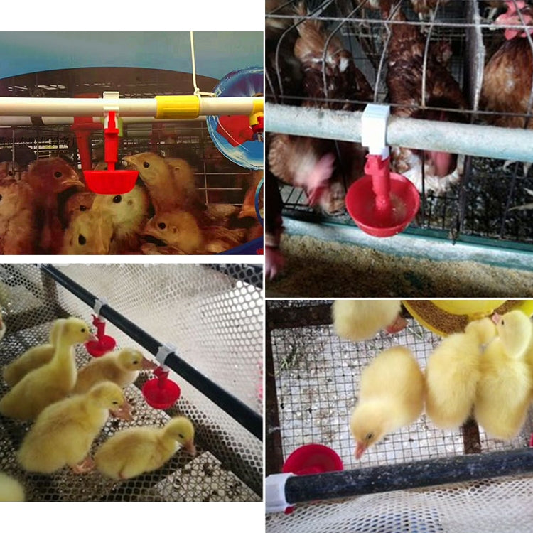 TBD0386802201_3.jpg@a7f5dfea57a9e6c7a16784b2122de410