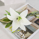 3 Branches Simulation Mini Lily Plastic Fake Flower Home Decoration Photography Wedding Supplies(White)