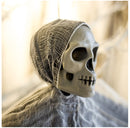 TBD04018802_3.jpg@a7f3d1c78a28e2226bb3d6c0c42297c0