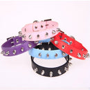 TBD0403618604A_4.jpg@001f9cb4f3a855a2a3284796914616c4