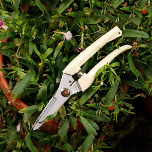 2 PCS Garden Tools Stainless Steel Pruning Shears Fruit Tree Scissors Garden Branch Shears(Straight)