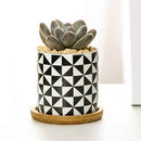 4 PCS Geometric Simple Straight Succulent Deramic Flower Pot(White and Windmill)