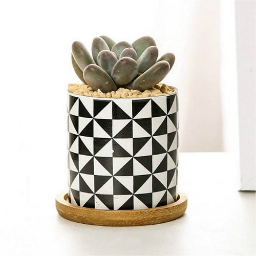 4 PCS Geometric Simple Straight Succulent Deramic Flower Pot(White and Windmill)