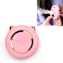 FD002 Cute Pet Spray Hydration Moisturizing Instrument Nano Anion Humidifier Mini Portable Auto Alcohol Sprayer(Pink)