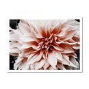 TBD0422489006A_1.jpg@a28c52973ee397df545f8fccc2d97933