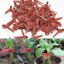 2 Packs Round Mouth Flat Mouth Plastic Vegetable Grafting Clip, Size: 3.5x2.5 cm(Round Mouth )