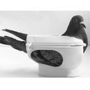 Pigeon Holder Does Not Hurt the Pigeon Body and Helps to Feed Medicine Pigeon Supplies