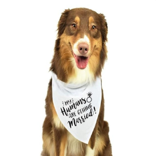 Pet Triangle Towel Saliva Towel