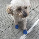 2 Sets Pet Rubber Waterproof Shoes Cover Dog Kitten Non-slip Rain Shoes, Size:L(Blue)