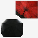 TBD0426379201C_3.jpg@65626f4c0e4ac06910bf738ac1399aea