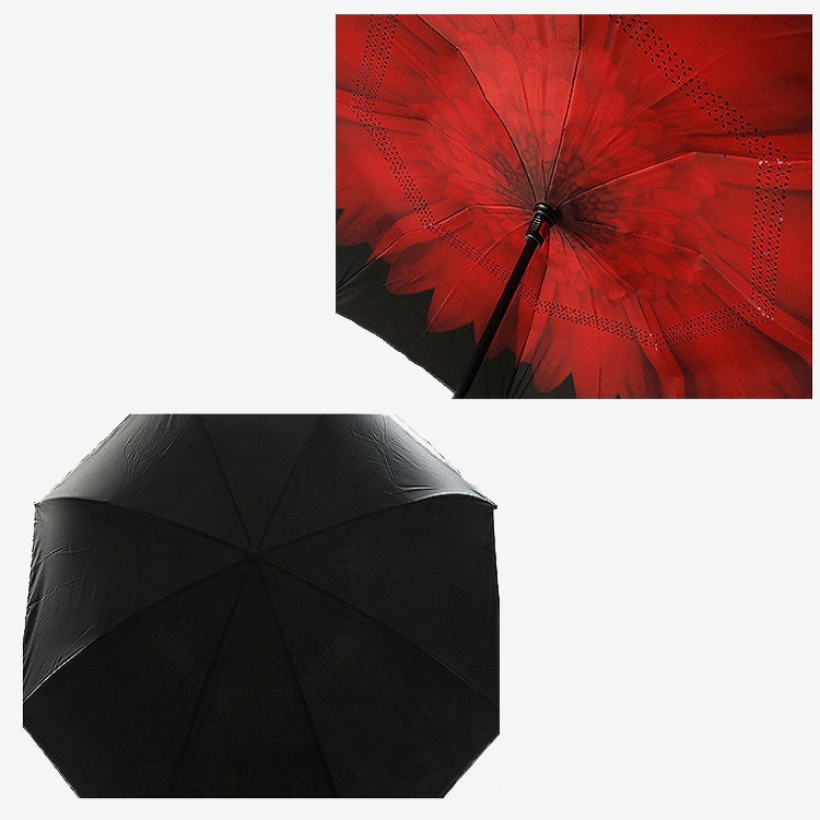 TBD0426379201C_3.jpg@65626f4c0e4ac06910bf738ac1399aea