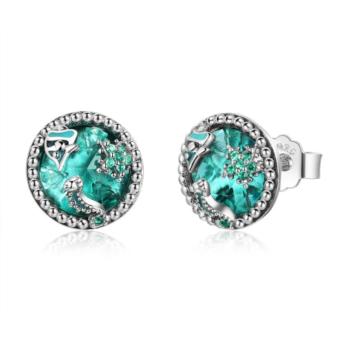 S925 Sterling Silver Earrings Women Silver Earrings