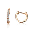S925 Sterling Silver Circle Earrings Zircon Earrings, Color:Rose Gold