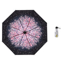 TBD0426976201E.jpg@43b7e0273b7708056fa9c772aa49e1b1