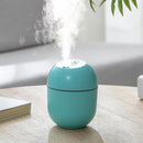 Disinfecting Humidifier USB Home Silent Bedroom Large Capacity Desktop Aroma Diffuser(Green)