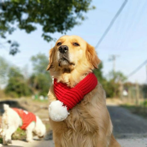 Pet Christmas Wool Scarf Medium & Large Dog Saliva Towel, Size: XS