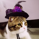 TBD0461793401_5.jpg@ace8286e4ed150277e8440d1a1898aa0