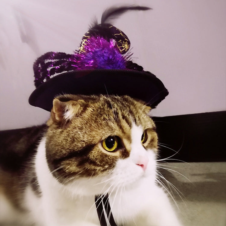 TBD0461793401_5.jpg@ace8286e4ed150277e8440d1a1898aa0