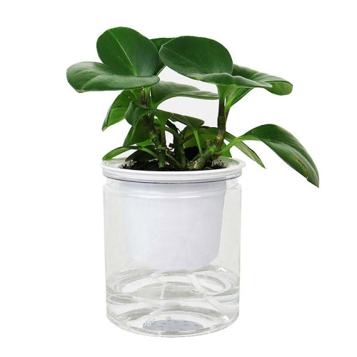 10 PCS Automatic Water Absorption Hydroponic Pot Succulent Plant Flower Pot, Style:Transparent Without Words