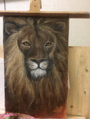 TBD048453102_5.jpg@6ab5e6a01f617eacb29cc09ce2d6198b