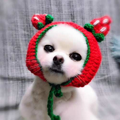 Cute Strawberry Headgear Handmade Knitted Hat Pet Accessories, Size: M