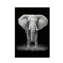 Simple Black and White Animal Decoration Painting Study Living Room Sofa Background Wall Painting Without Frame, Size:13X18cm(Elephant)
