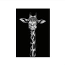 Simple Black and White Animal Decoration Painting Study Living Room Sofa Background Wall Painting Without Frame, Size:20X25cm(Giraffe)