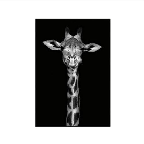 Simple Black and White Animal Decoration Painting Study Living Room Sofa Background Wall Painting Without Frame, Size:20X25cm(Giraffe)