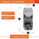 TBD049994301N_2.jpg@679b7f8a26b83418c82741c6804f885e